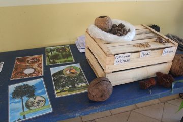 Ações de educação ambiental com os estudantes das Escolas Estaduais São Francisco de Assis e Maria Miranja Araújo, noroeste de Mato Grosso. Fotos: PACTO DAS ÁGUAS.